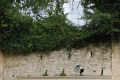 1_foglio-5
