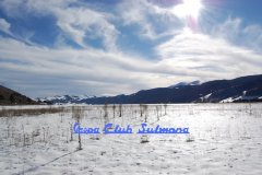1_b901bd46c2f54443b8bc32ef473f9089